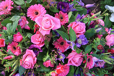 粉色和紫色混合花卉安排花朵花洒花店植物学植物群雨滴水滴花束植物花瓣图片
