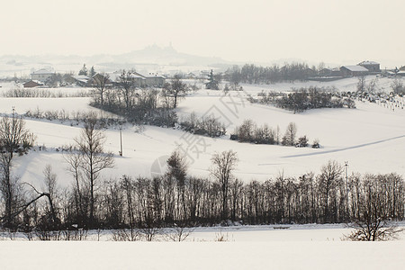 下雪景植物群雾凇天空自然木头气候旅行太阳全景环境图片