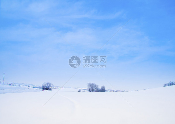 下雪景全景木头童话天气气候高地森林植物群环境太阳图片