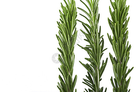 迷宫烹饪草药植物芳香草本植物市场健康美食白色枝条图片