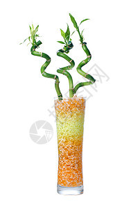 玻璃罐加竹子工作室花瓶叶子橙子植物玻璃石头绿色蝴蝶白色图片