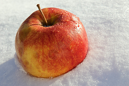 苹果在白昼的阳光下躺在雪上图片