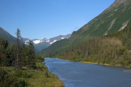 蓝河谷通过绿山 带雪地片断图片