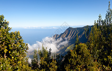 Kalalau山谷Kauai的雾表山脉树木海岸线海洋远足峡谷远景山峰山脊侵蚀图片