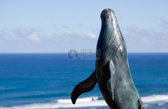 鲸鱼与海洋决裂的雕像雕刻雕塑旅游青铜波浪冲浪海岸海岸线金属海浪图片