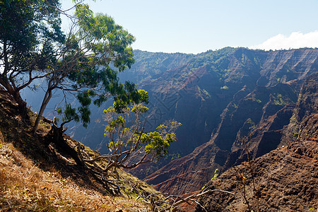 考艾的瓦伊梅亚峡谷环境山沟热带荒野悬崖岩石天堂地形阳光照射山脉图片