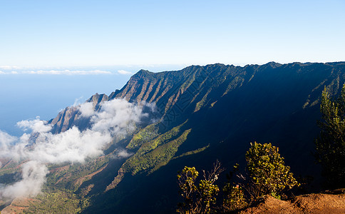 Kalalau山谷Kauai的雾表山峰树木远景海洋海岸公园荒野岩石美丽热带图片