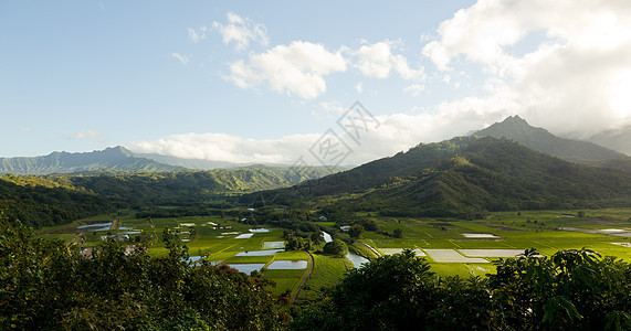 考艾哈纳莱伊山谷全景生长水平叶子日落风景山脉反射芋头农场天空图片