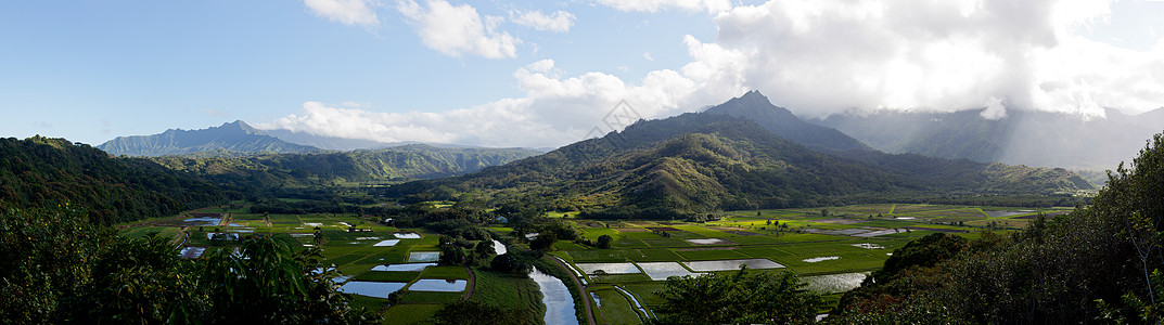 考艾哈纳莱伊山谷全景农场芋头天空旅行日落绿色叶子多云农业植物图片