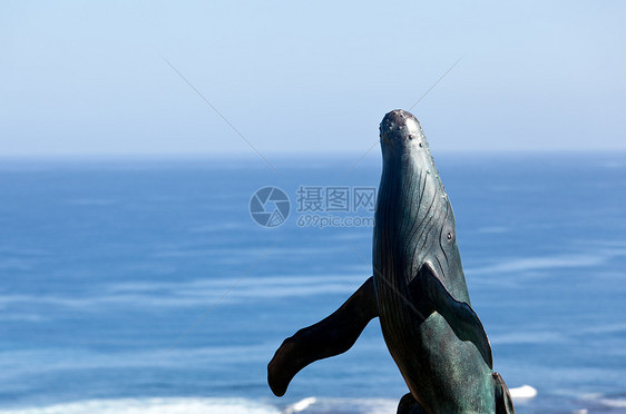 鲸鱼与海洋决裂的雕像波浪旅游海岸冲浪海浪雕塑金属青铜海岸线雕刻图片