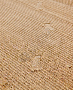 流沙中的脚步图片
