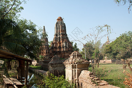 奥塔亚蓝色叶子连体贵族天空入口寺庙旅游假期旅行图片