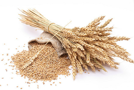 小麦谷和小麦耳朵碎粒饮食白色烹饪食物营养烘烤谷物棕色食谱图片