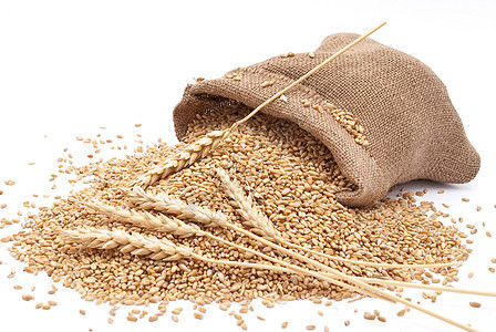 零散的袋里有谷物麦子解雇小麦粮食耳朵农业收成食物玉米季节种子图片