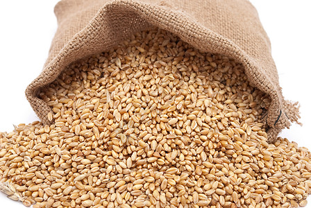 零散的袋里有谷物麦子小麦玉米解雇食物种子收成季节粮食图片