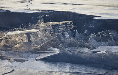 冰设计性质捕食者宏观玻璃冻结白色猫头鹰羽毛野生动物眼睛图片