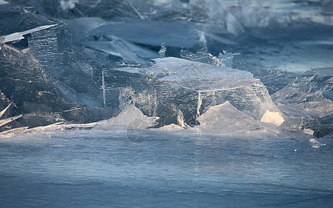 冰设计性质眼睛捕食者冻结玻璃野生动物宏观猫头鹰白色羽毛图片
