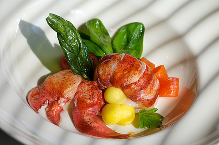 龙虾盘沙拉异国用餐美食午餐海滩植物情调营养健康图片