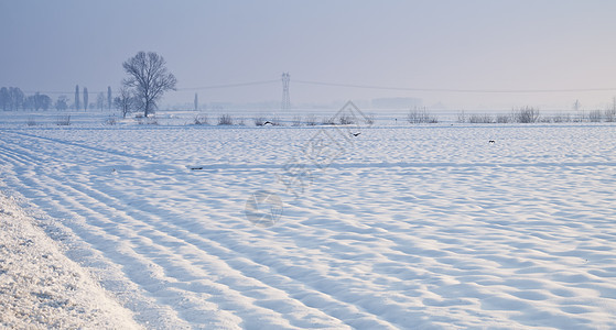 下雪景全景降雪季节假期天气气候森林太阳高地照明图片