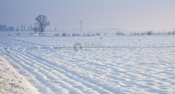 下雪景全景降雪季节假期天气气候森林太阳高地照明图片