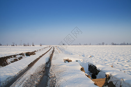 下雪景照明旅行季节气候高地环境天气森林雾凇全景图片