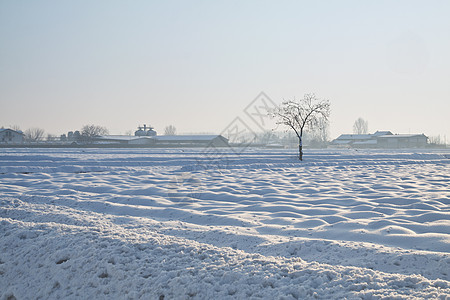 下雪景天气阳光木头太阳雾凇自然童话降雪环境旅行图片