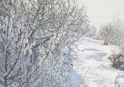 下雪景天空气候旅行环境太阳降雪高地照明季节雾凇图片