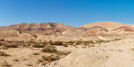 以色列内盖夫沙漠中大克拉特附近的沙漠景观图片