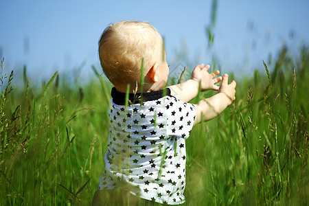 青草中的男孩衬衫天空金发男性生活喜悦草地眼睛植物微笑图片