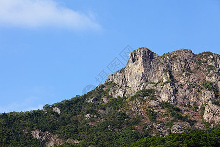 香港的狮子石狮子蓝色晴天地标精神城市天空市中心岩石绿色图片