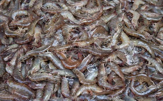 鲜虾食物海鲜图片