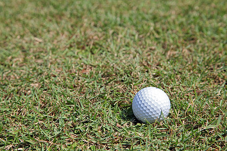 高尔夫球绿色草地视角图片