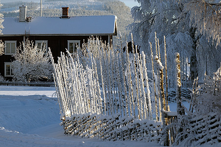 冬季风景森林木屋房子场景旅游栅栏阴影气候荒野冻结图片