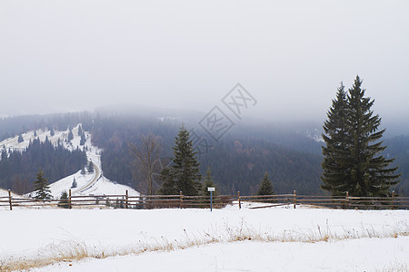 冬季风景和雪雪木头季节高地暴风雪首脑旅行气候植物群太阳天空图片