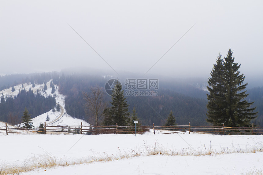 冬季风景和雪雪木头季节高地暴风雪首脑旅行气候植物群太阳天空图片