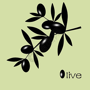 黑橄榄叶子水果花园插图蔬菜明信片植物食物图片