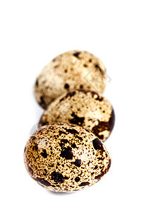 三个蛋团体食物生产蛋壳食品鹌鹑熟食美食热量农场图片