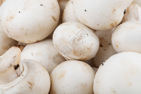 白色香皮尼翁蘑菇蔬菜宏观食物食用菌健康饮食素食图片