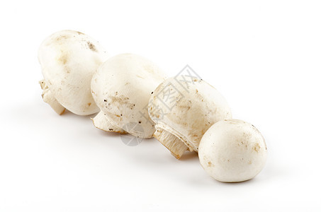 白色香皮尼翁蘑菇食物蔬菜素食食用菌宏观健康饮食图片