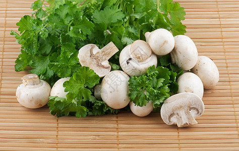 白色的香皮尼翁蘑菇图片