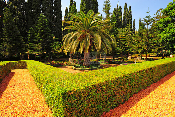 花园园衬套花园棕榈装饰青铜热带公园风格阴影娱乐图片