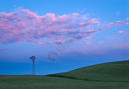 美国华盛顿惠特曼县黄昏时风车 小麦和云彩粉色农村绿色日落农田丘陵天空农业乡村季节性图片