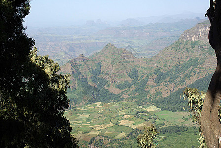 埃塞俄比亚地貌景观风景荒野顶峰猿猴草地场地图片