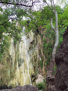 森林瀑布薄雾热带空地叶子气候苔藓植物岩石溪流生态旅游图片