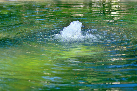 公园里的喷泉冥想棕榈蕨类历史植物呼吸池塘木头园艺叶子图片