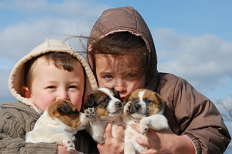 儿童 小狗和小狗动物蓝色三色伴侣婴儿家庭姐姐宠物白色天空图片