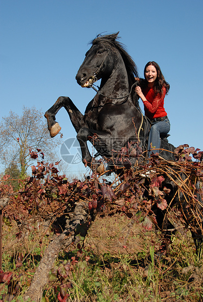 养种马和快乐的女孩天空草地黑色场地女士动物骑马幸福蓝色运动图片