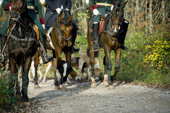 骑马和狗猎狐动物狍子鹿肉森林男人宠物装备静音猎人图片