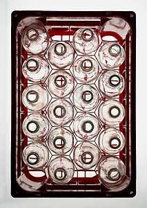 从高角度视图中的瓶装视角塑料啤酒瓶曲线酒瓶红色对象玻璃物体回收图片