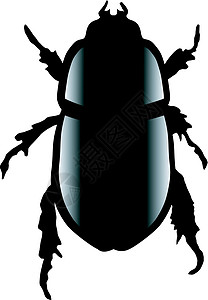刺伤甲虫插图图片